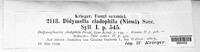 Keissleriella cladophila image